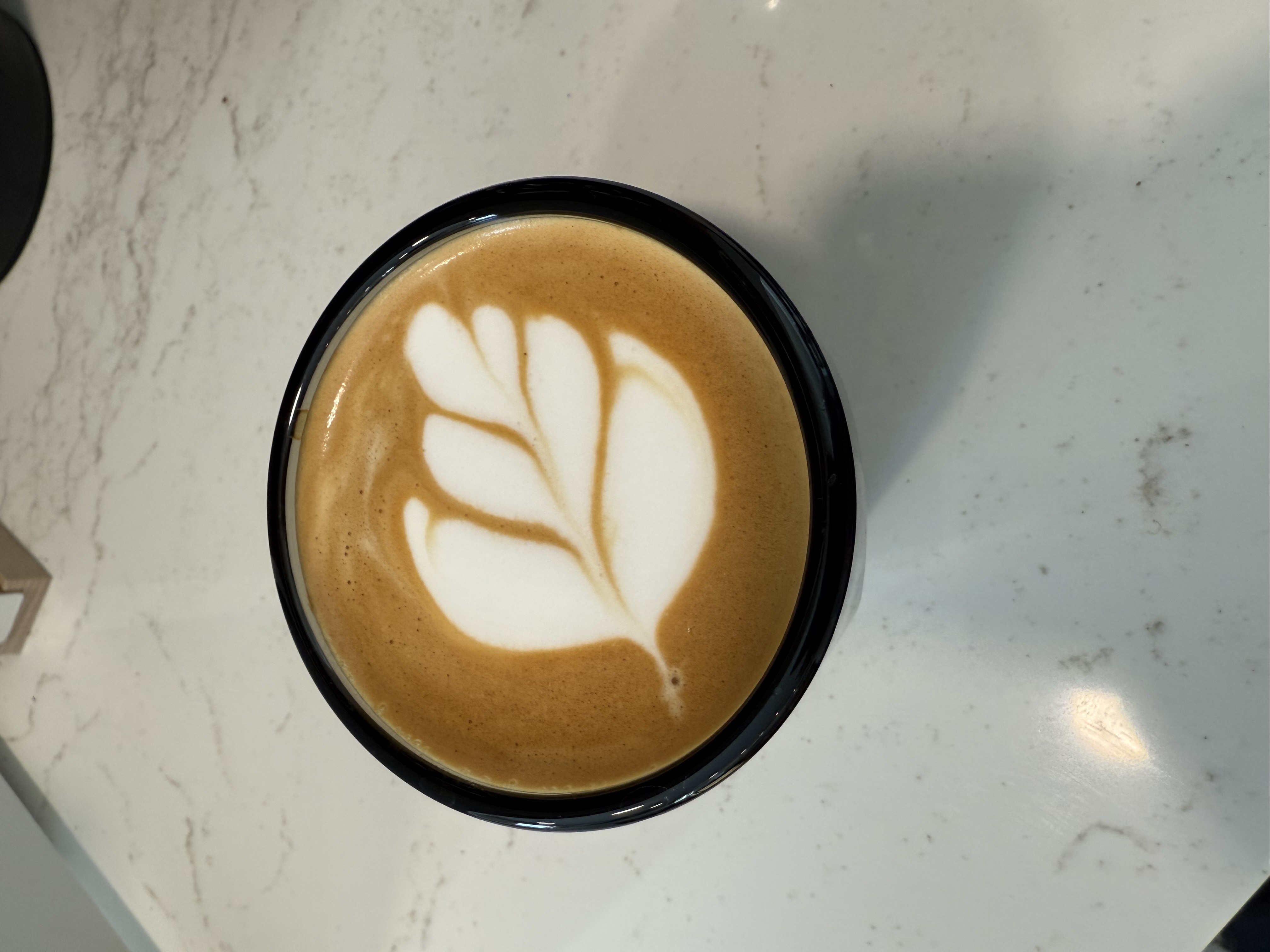 Crema camera screen showing spirit level overlay with alignment guides